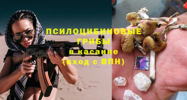 эйфоретик Алексин
