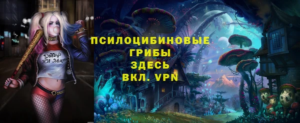 эйфоретик Алексин