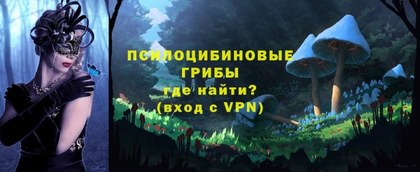 эйфоретик Алексин