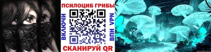 Псилоцибиновые грибы Psilocybine cubensis Курлово